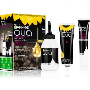 Garnier Olia Big Kit Haarfarbe 5.0 Braun