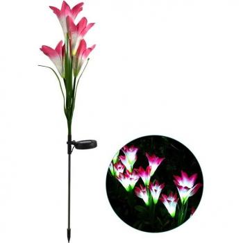 Outdoor Solar Garden Decorative Lights