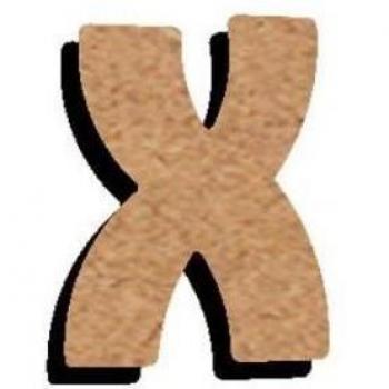 Lettre X artisanale en MDF – 15 cm