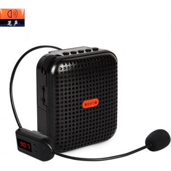 Mini Megaphone with MP3 and FM