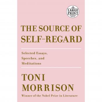 Source of Self Regard Selected Essays Speeches & Meditations