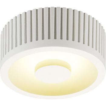 15W Ceiling and Wall Light Fixture