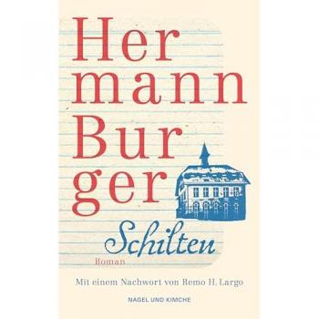Schilten: Roman von Hermann Burger - Taschenbuchausgabe