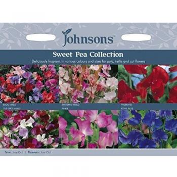 Johnsons Garden Sweet Pea Seeds