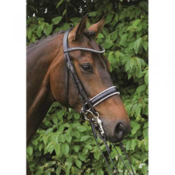 Hans Melzer Horse Equipment