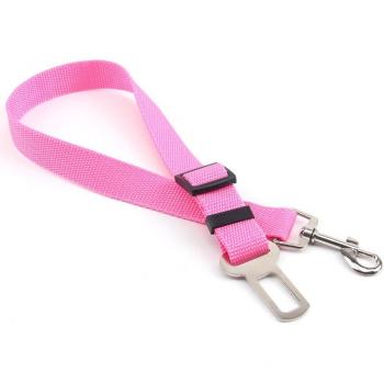 Correa Segura PetGuard