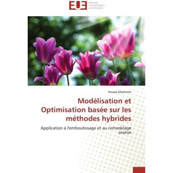 Khaterchi, Houda: Modélisation et Optimisation basée sur les méthodes hybrides