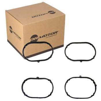 DRM01636S Intake Manifold Gasket Assembly
