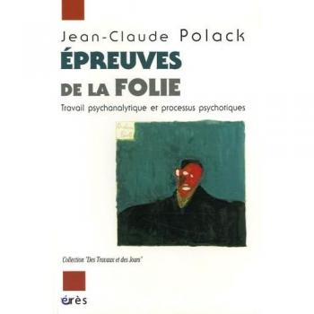 Epreuves De La Folie - Travail Psychanalytique Et Processus Psychotiques