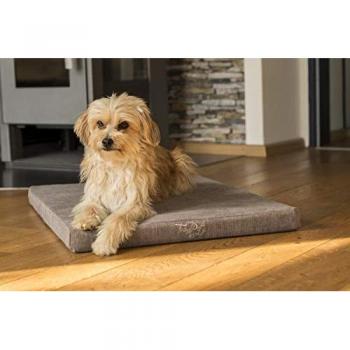 TrendPet Tiermatratze VitaMedog 95°C - orthopädische Matratze, kochbarer Bezug