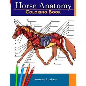 Horse Anatomy Coloring Book