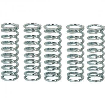 Kit de Muelles de Embrague TRW MEF144-6