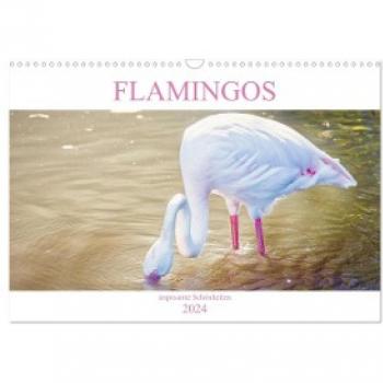Flamingos - imposante Schönheiten (Wandkalender 2024 DIN A3 quer) CALVENDO Monatskalender