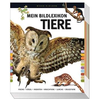 Mein Bildlexikon Tiere | German | Buch
