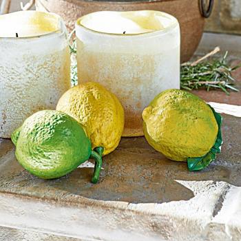 Set di agrumi decorativi Ginny