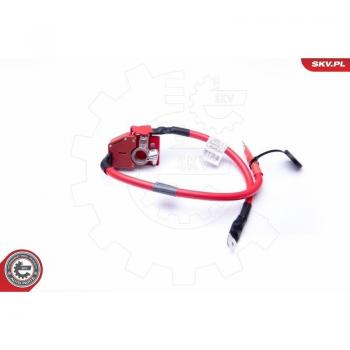 ESEN SKV Verbindungskabel, Starterbatterie BMW 96SKV303