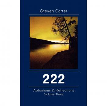 222: Aphorisms & Reflections, Volume 3: Aphorisms & Reflections, Volume 3