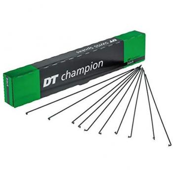DT Swiss Raggi Champion M