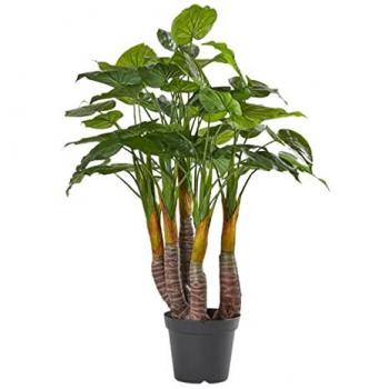 Dieffenbachia Bizzotto Artificiale – H134