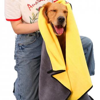 Oversized Absorbent Dog Grooming Towel