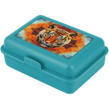 Scatola Porta Pranzo per Bambini
