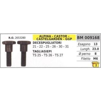 Vite Frizione ALPINA Decespugliatore – Tagliasiepe TS25 009168 (21/22/25/26/30/31)