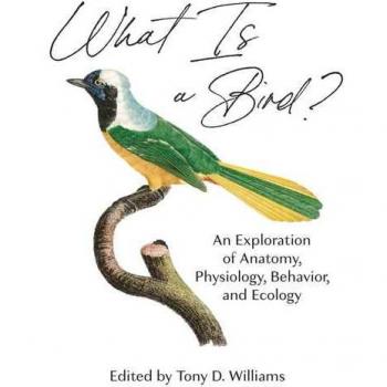 What Is A Bird?