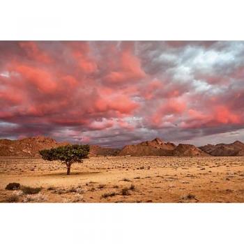 Anne Berger – CALVENDO Rosa Wolken Leinwand 120x80 cm im Querformat