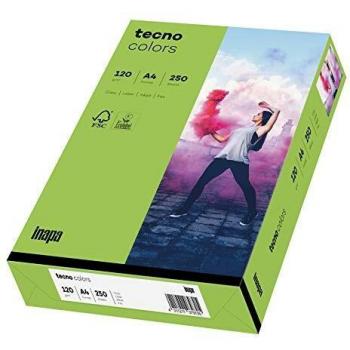 Inapa Multifunktionspapier tecno colors A4 120g/qm VE=250 Blatt grün