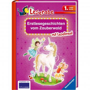 Erstlesegeschichten vom Zauberwald (Leserabe - Sonderausgaben)