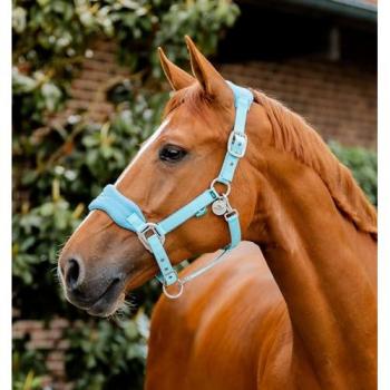 Horseware Signature Pflegehalfter