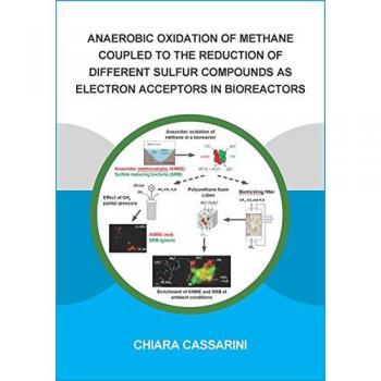 Anaerobic Oxidation of Methane Coupled to the Reduction of Different Sulfur Compounds as Electron Acceptors in Bioreactors