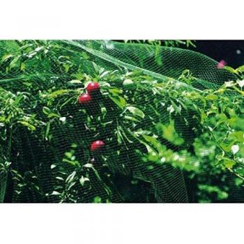 Polyethylene border sierra border green pack of 4 units 20 x 80 cm
