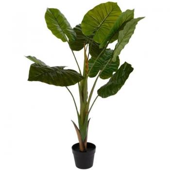 Oasis Verde Filo 110 cm