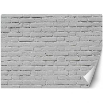 Papier peint Mural Briques Blanches 100x70