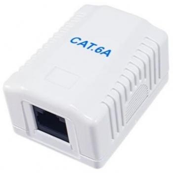 Conector RJ45 de Superficie Equip Cat 6A