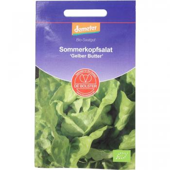 Laitue Bio Victoria « Gelber Butterkopfsalat » – 1 g