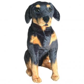 Dubi Rotweiler in Sedia 65 cm