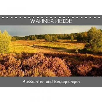 Wahner Heide - Aussichten und Begegnungen