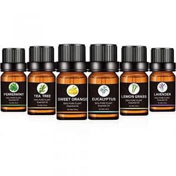 Tea Tree & Lavender Dual‑Action Kit