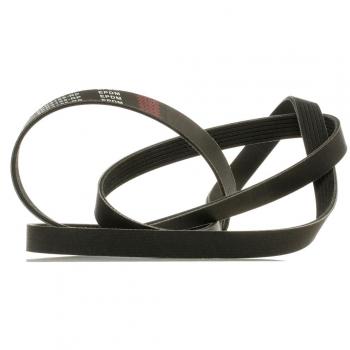 Courroie Poly-V RIDEX PLUS pour VW, MERCEDES-BENZ, MAZDA 305P0097P
