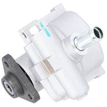 Spare Part DT 12.53004 Pompa Sterzo Idraulico