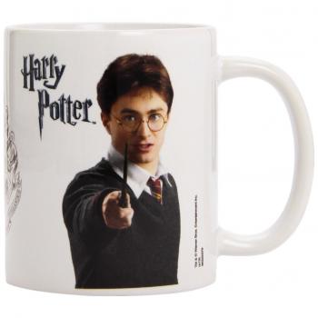 Bouteille de 300 ml « Harry » – Coffret Magie