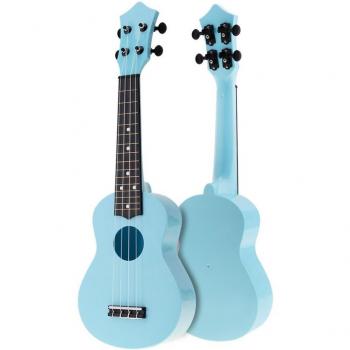 Kleurrijke 21 Inch Akoestische Ukulele Uke