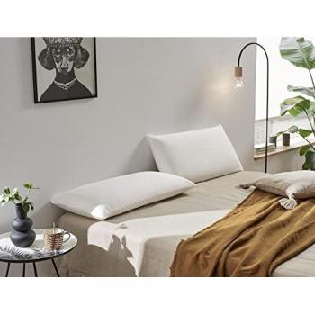 Colchón Viscoelástico 105 x 180 + Regalo Almohada Viscoelástica Descansin | Ideal para Personas con Dolores de Espalda | Alta Firmeza | Efecto Nube