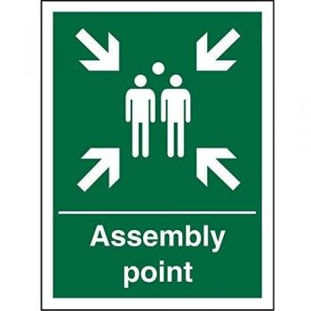 Sign Assembly Point Plastic Green