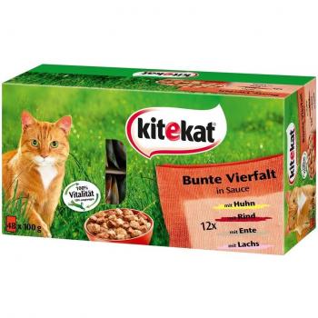 Kitekat Katzenfutter Nassfutter Bunte Vierfalt in Sauce, 48 Portionsbeutel (48 x 100g)