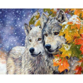 Two Wolves Animal and Flower DIY Wall Art 40x50cm