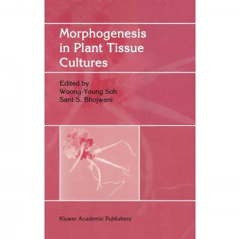 Morphogenesis in Plant Tissue Cultures