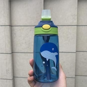 Paille à l’Ananas Doux 430 mL